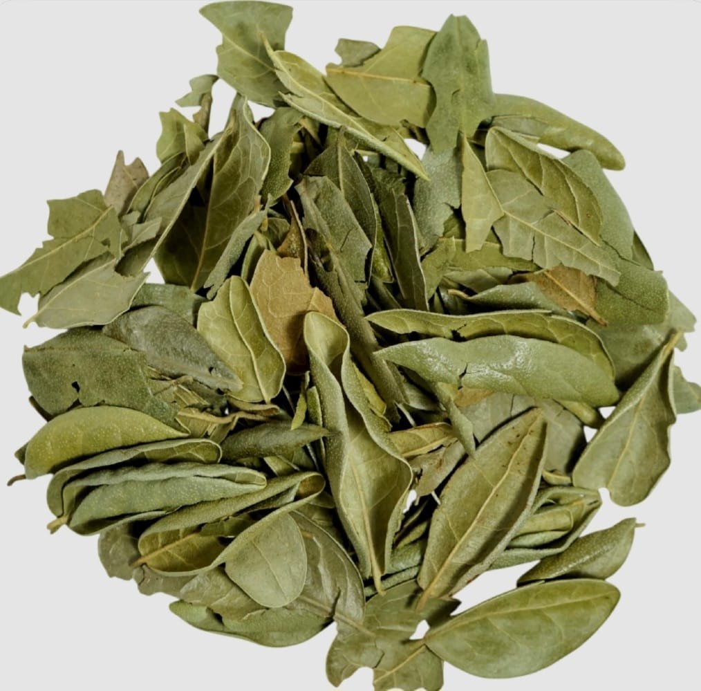 Boldo 100g
