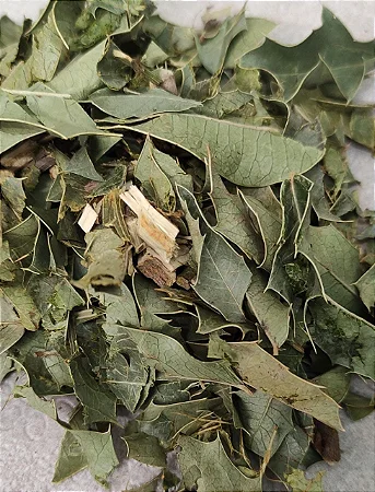 Espinheira santa 100g