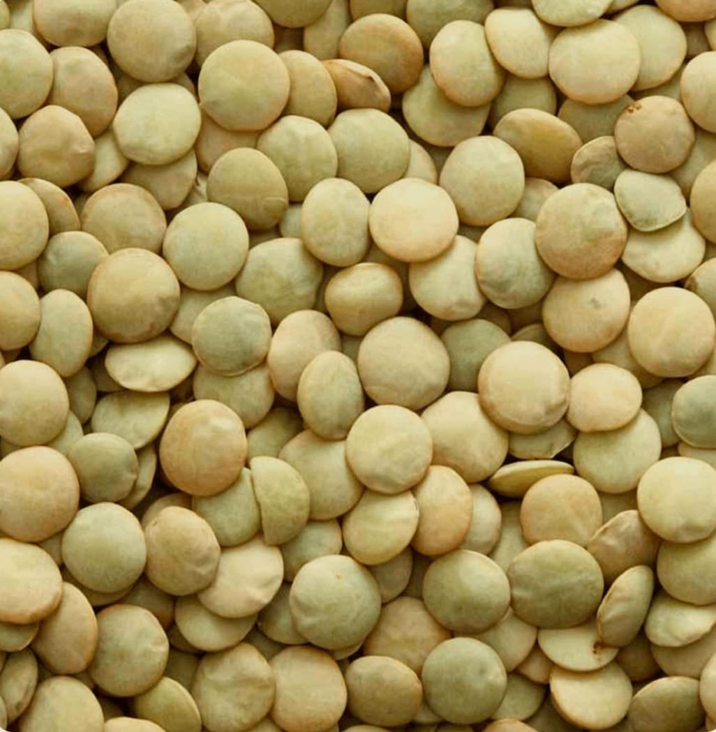 Lentilha 100g